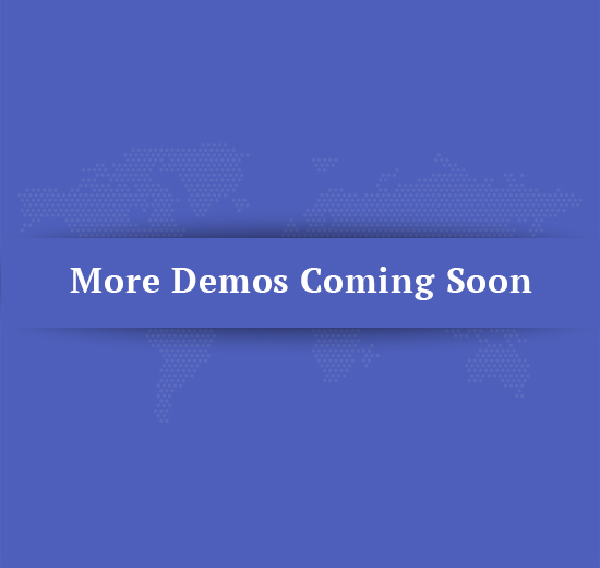 demo image